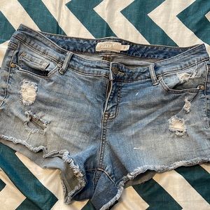 Torrid distressed shorts